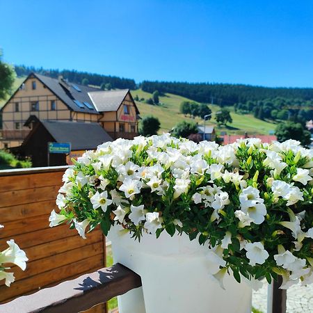 Ski&Spa Zieleniec Duszniki Zdrój Kültér fotó